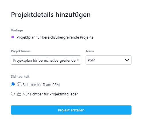 projekt details eines neuen projektes in asana screenshot