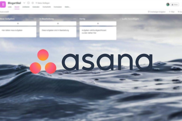 screenshot vom asana projektmanagement tool