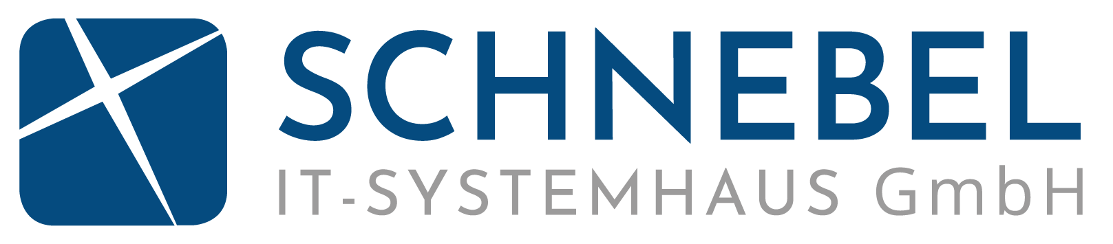 Logo des PS Marketing Kunden Schnebel IT-Systemhaus GmbH